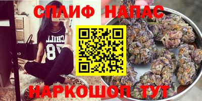 мдпв Кимры