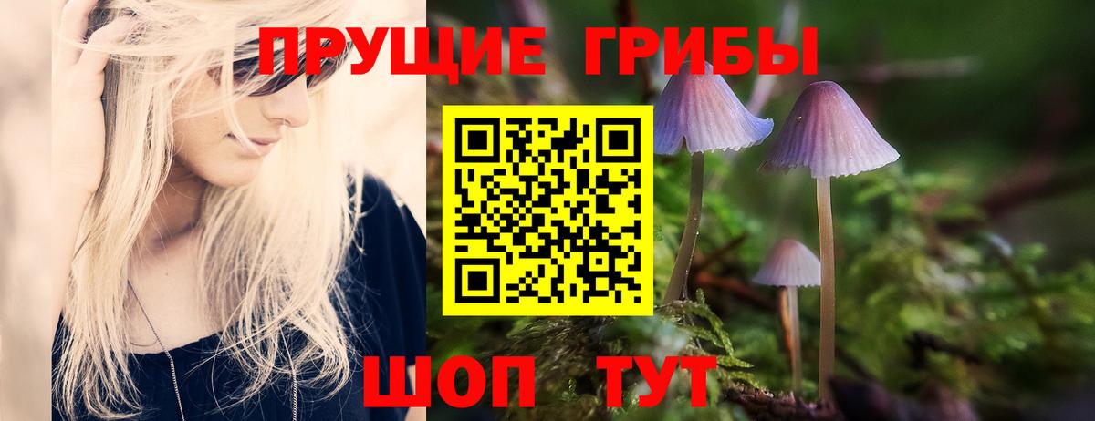 Армавир  Галлюциногенные грибы Cubensis  Галлюциногенные грибы Cubensis  Вход с VPN 